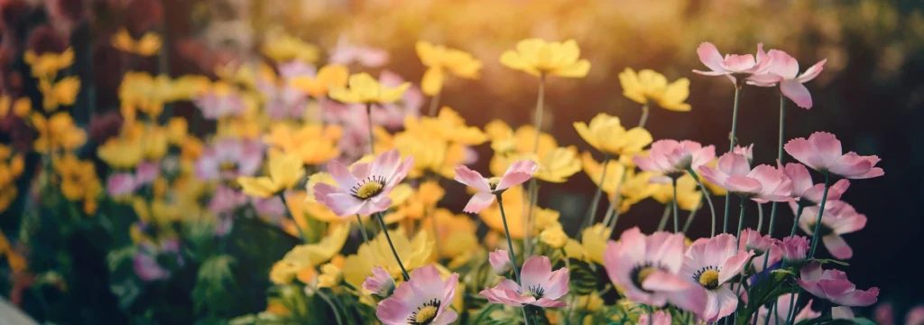 Insektenfreundlicher Garten