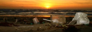 Müllkippe Meere