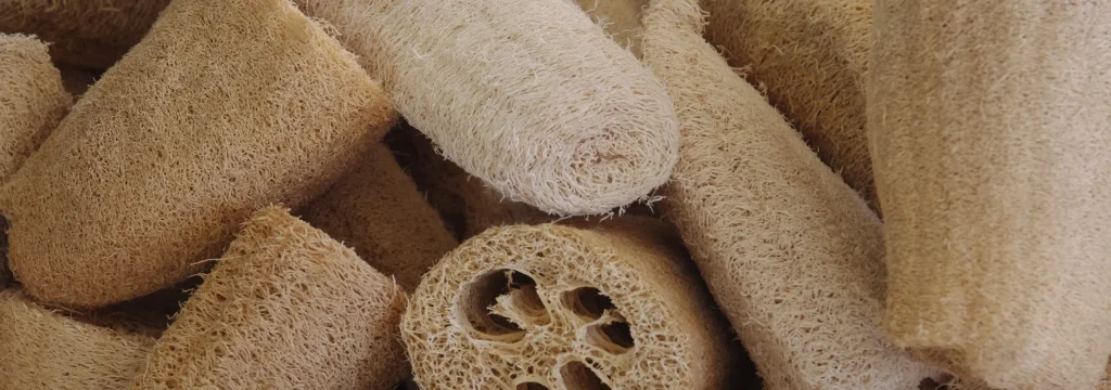 Luffa-Schwämme in verschiedenen Formen und Größen, ideal für Körperpflege und natürliche Reinigung.