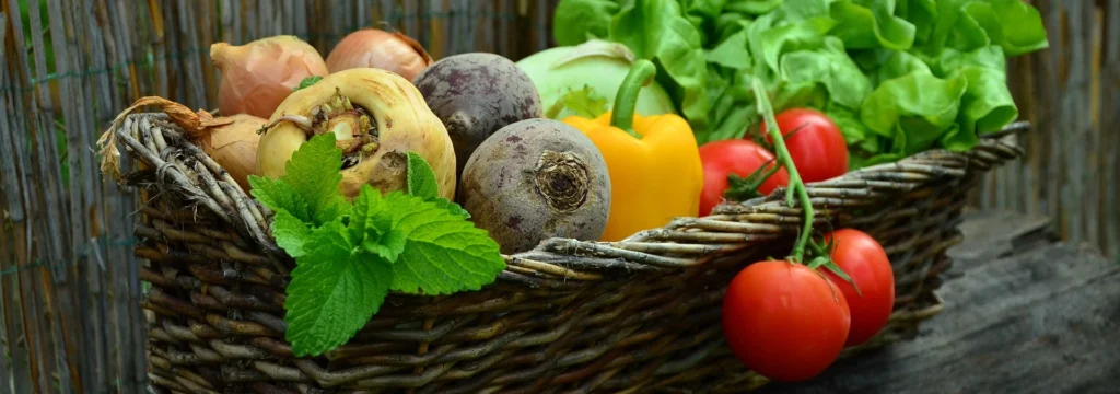 Ein Korb mit frischem Gemüse, darunter Tomaten, Paprika, Salat und Rüben, ideal für gesunde Mahlzeiten und Rezepte.