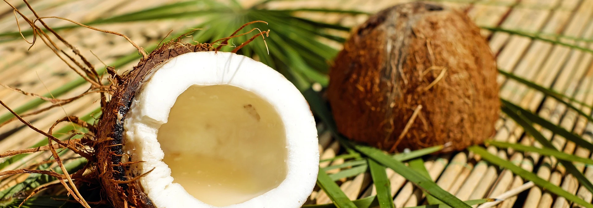 Kokosnuss: Vielseitiges Superfood und nachhaltiger Alleskönner