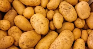 Kartoffeln