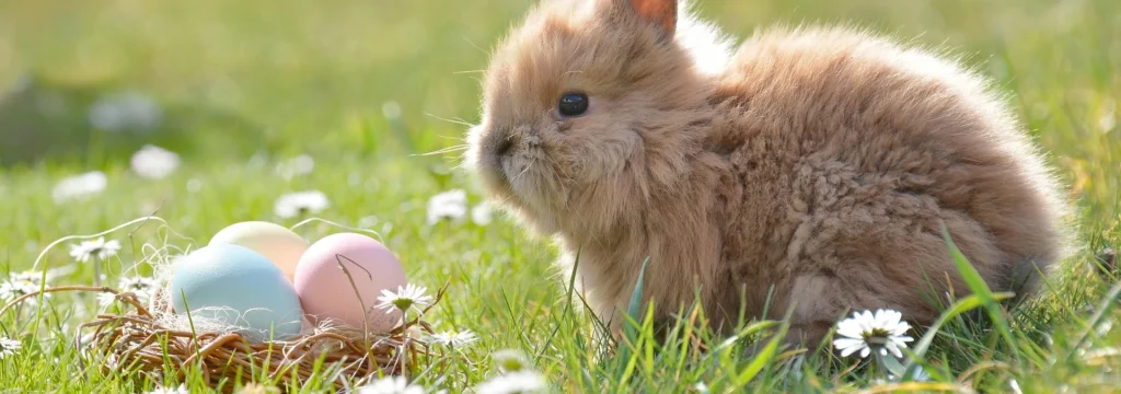 Ein kleines, braunes Kaninchen sitzt neben einem Nest mit bunten Ostereiern auf einer Wiese.