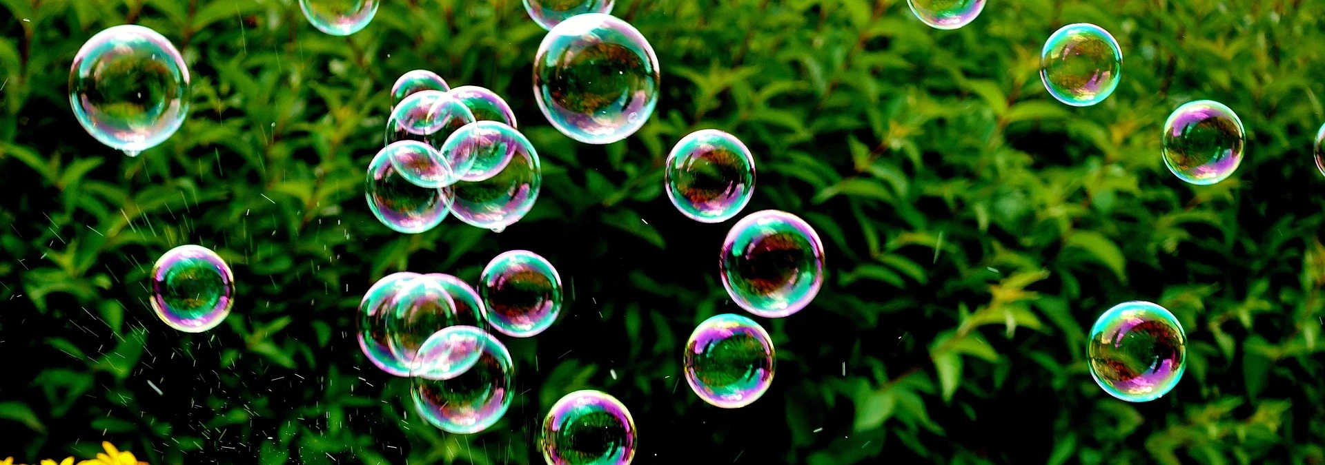 Seifenblasen  – Magische Momente und faszinierende Wissenschaft