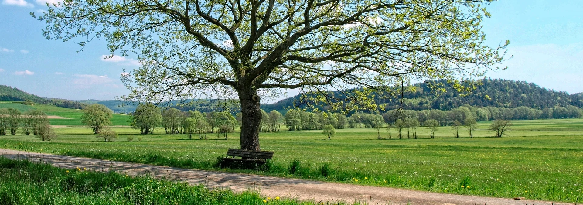 Der Mai – Frühlingsmonat voller Leben, Licht und Tradition