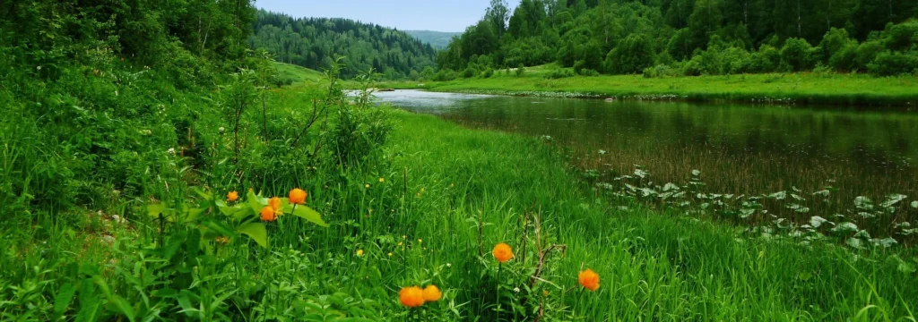 Flusslandschaft mit üppiger grüner Vegetation und orangefarbenen Blumen am Ufer.