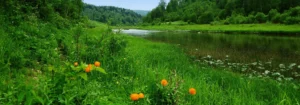 Flusslandschaft mit üppiger grüner Vegetation und orangefarbenen Blumen am Ufer.