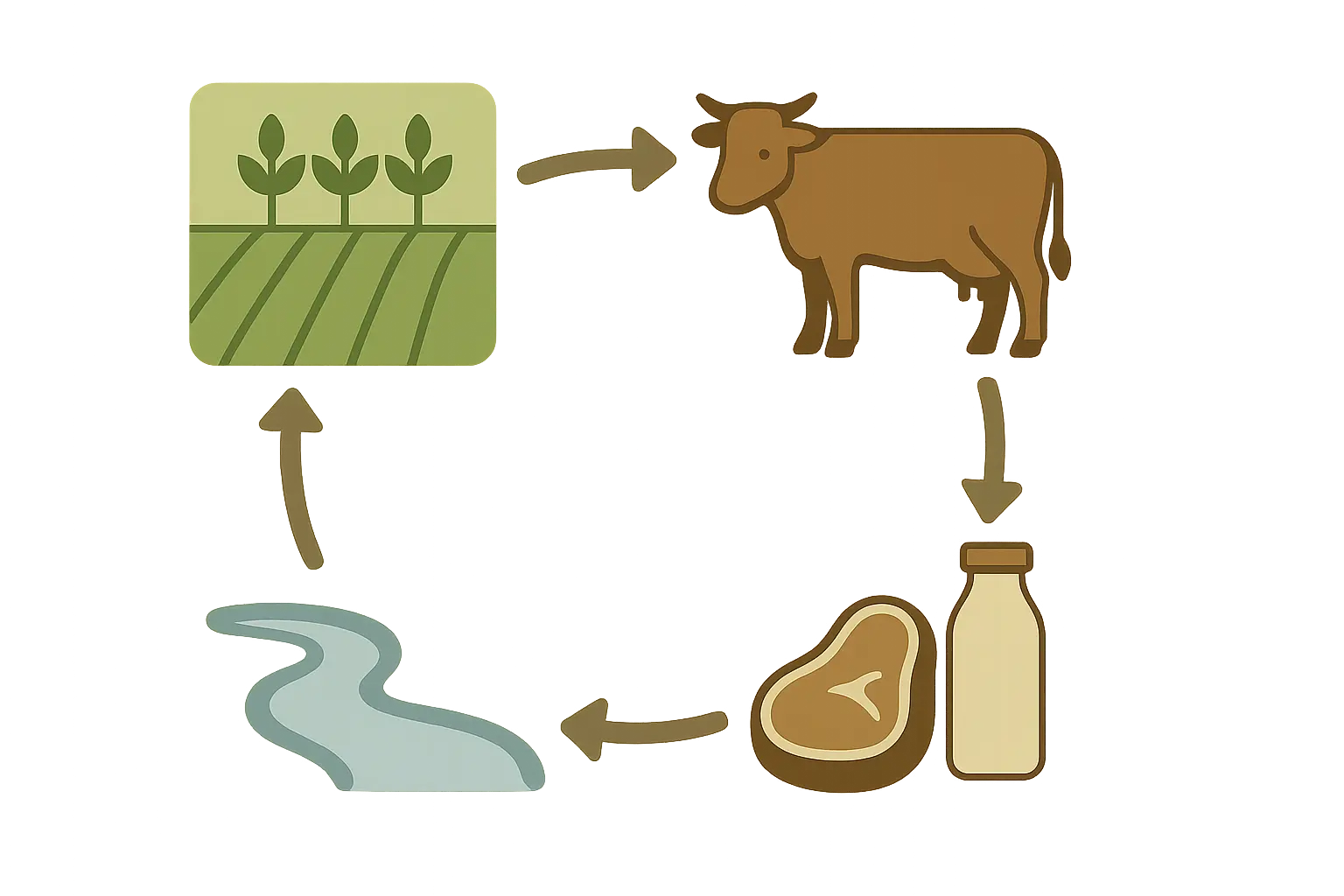 Schematische Grafik zum Zusammenhang von Futteranbau, Tierhaltung und Wasserentnahme