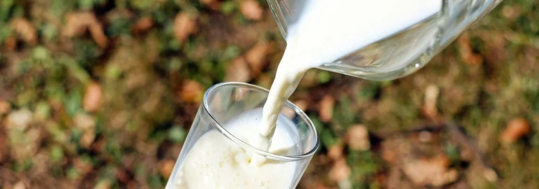 Die besten Milchalternativen