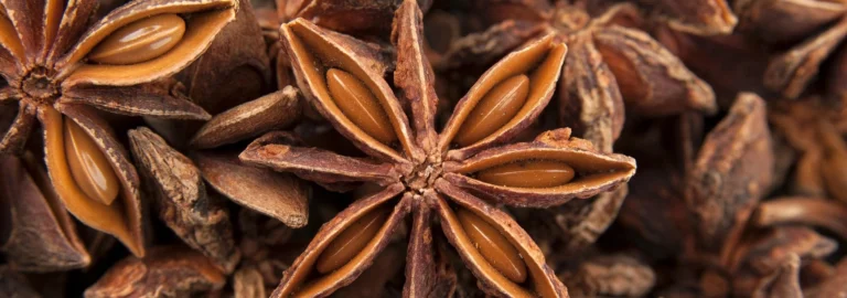 Anis: Eine vielseitige Pflanze mit aromatischem Geschmack