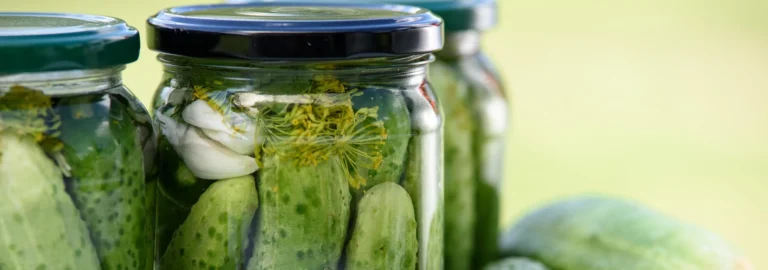 Fermentation: Ein Blick in ein Verfahren zur Lebensmittelveredelung