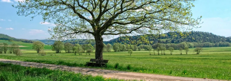 Der Mai – Frühlingsmonat voller Leben, Licht und Tradition