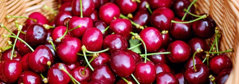 Kirschen – Saisonale Köstlichkeit mit Tradition