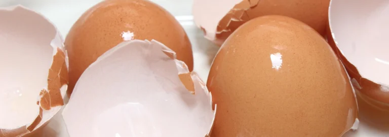 Eierschalen – vielfältige Anwendungen